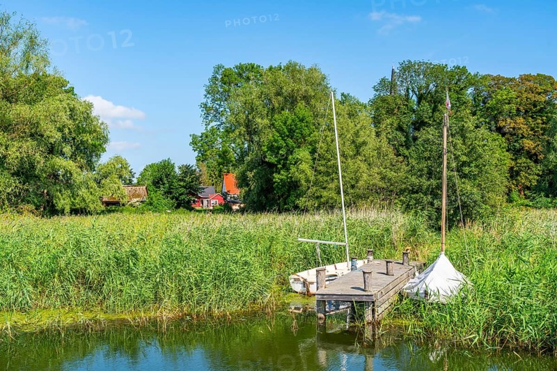 Sailing boats and reeds in Krummin natural harbour, Krumminer Wiek on the Peene River, Usedom Island, Mecklenburg-Western Pomerania, Germany