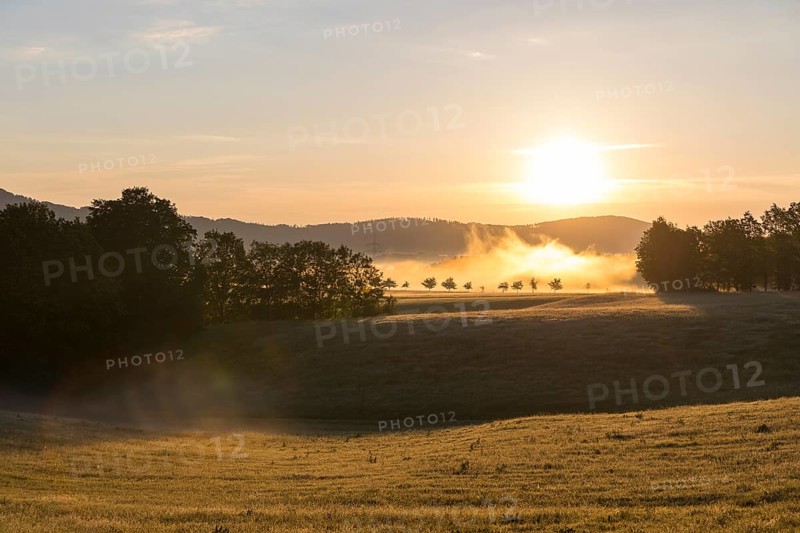 Sun and morning fog near Cunewalde, Upper Lusatia, Saxony, Germany