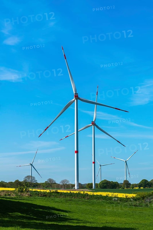 Small wind farm between agricultural areas, rape cultivation, barley, deciduous trees, close to the farmhouse, minimum distance, blue sky, sunny spring day, landscape Schwansen, Schleswig-Holstein, Germany