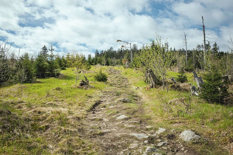 Ascent to Heugstatt, Bavarian Forest, Bavaria, Germany
