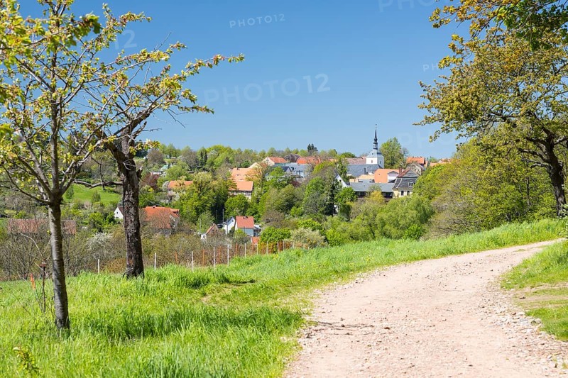 View of the village with church, Maxen, Müglitztal, Saxony, Germany