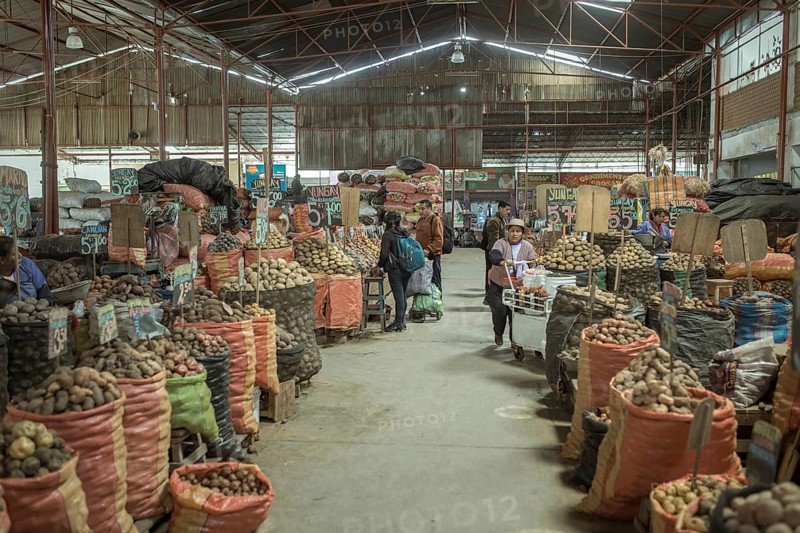 Market hall, potato variety, Mercado Mayorista, Huancayo, Peru