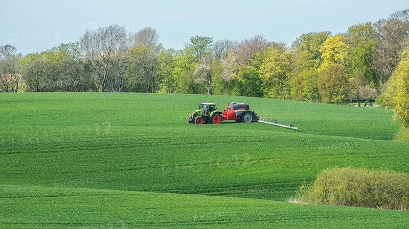 Spring farming, spreading fertilizer on a field with crops with a tractor at a forest in Ystad municipality, Skåne county, Sweden, Scandinavia
