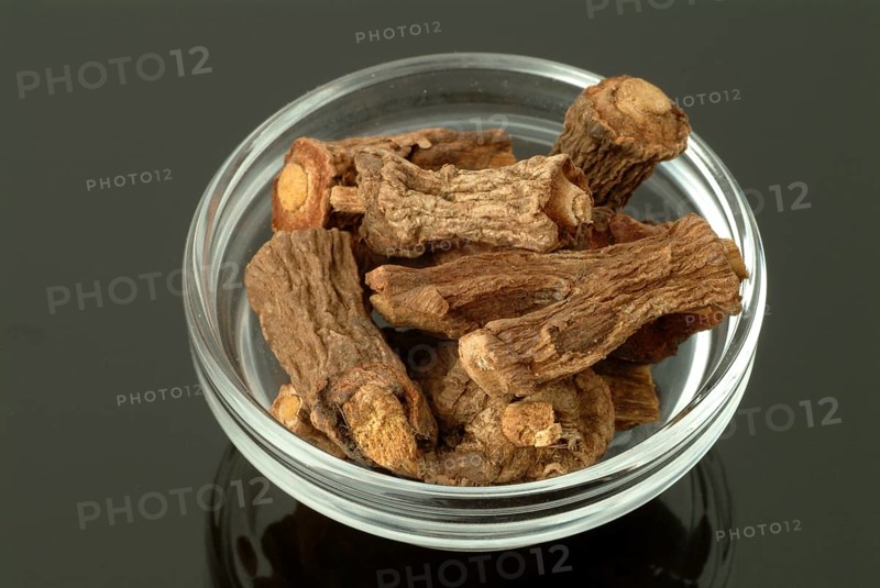 Indian galangal, Alpinia calcarata, Brachychilum horsfeldi, is a rhizomatic perennial herb commonly used in the traditional medicinal systems of Asia. Alpinia calcarata is cultivated in tropical countries. The rhizomes of Alpinia calcarata have been experimentally shown to possess antibacterial, antifungal, anthelmintic, antinociceptive, anti-inflammatory, antioxidant, aphrodisiac, gastroprotective and antidiabetic effects