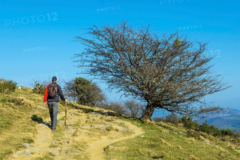 Trekking along the trail up to Mount Ernio or Hernio in Gipuzkoa at sunset, Basque Country
