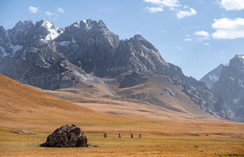 Rider in mountain landscape with yellow meadows, mountain peak, Keltan Mountains, Sary Beles Mountains, Tien Shan, Naryn Province, Kyrgyzstan