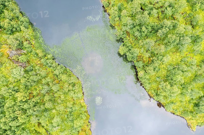 Aerial view of a lake with plants growing in a structure around a circle, near Digermulen on Vesteralen islands, Norway