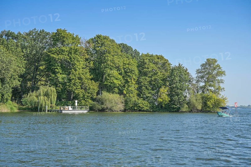Baumwerder Island, Tegeler See, Tegel, Reinickendorf, Berlin, Germany