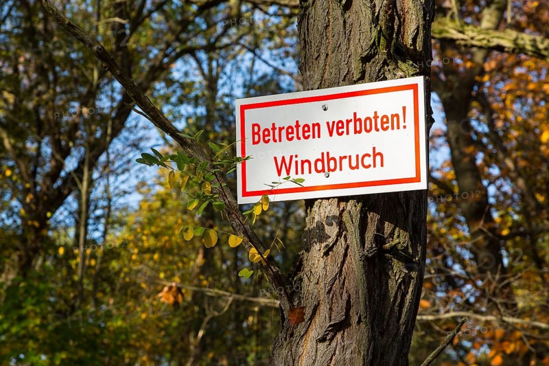No trespassing sign, wind break, on a tree, Zschorna, Thiendorf, Saxony, Germany