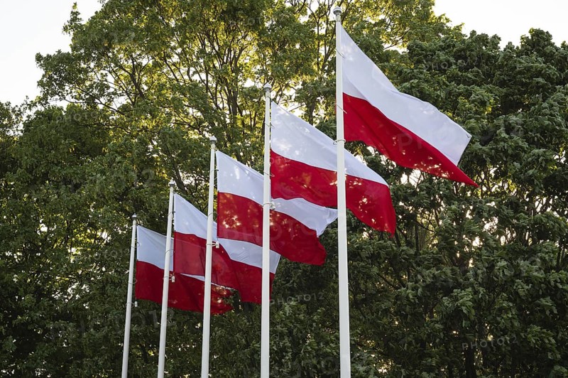 Five white and red flags flying on masts against the background of green trees