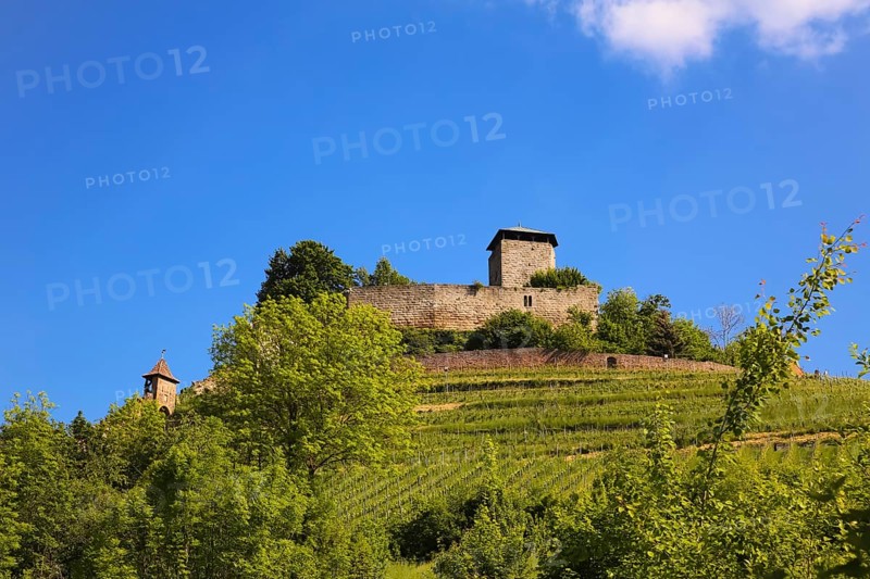 Hohenbeilstein Castle, hilltop castle, wine-growing, Beilstein, Heilbronn district, Baden-Württemberg, Germany