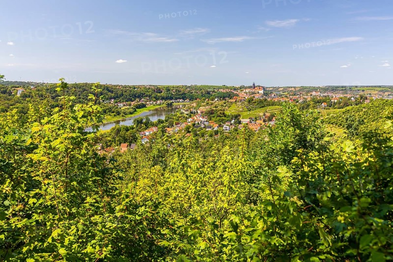 View from the Juchhöh over the Spaargebirge to the Elbe, the town and Albrechtsburg Castle, Meissen, Saxony, Germany