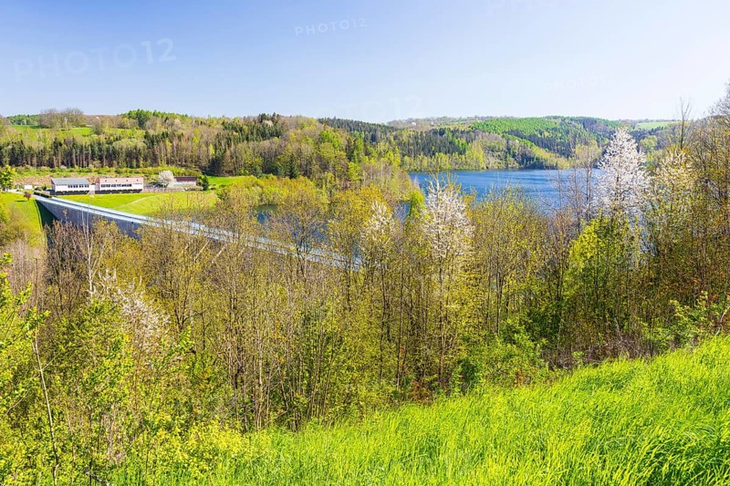 View of the Gottleuba dam with dam wall, Bad Gottleuba, Saxony, Germany