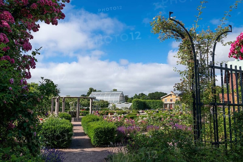 Botanical Garden or Göteborgs botaniska trädgård, Änggården neighbourhood, Majorna-Linné municipality, Gothenburg, Västra Götalands län province, Sweden