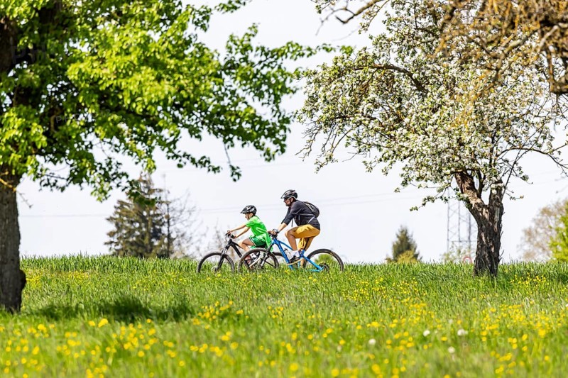 Man and boy cycling through the countryside near Wolfschlugen. Wolfschlugen, Baden-Württemberg, Germany