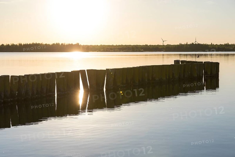 Wooden groynes and reflection of the sun, Werbeliner See, Rackwitz, Saxon Lake District, Saxony, Germany