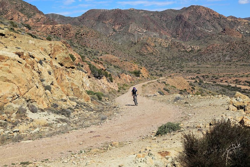 Person cycling in Cabo de Gata national park, Monsul, near San José, Almeria, Spain