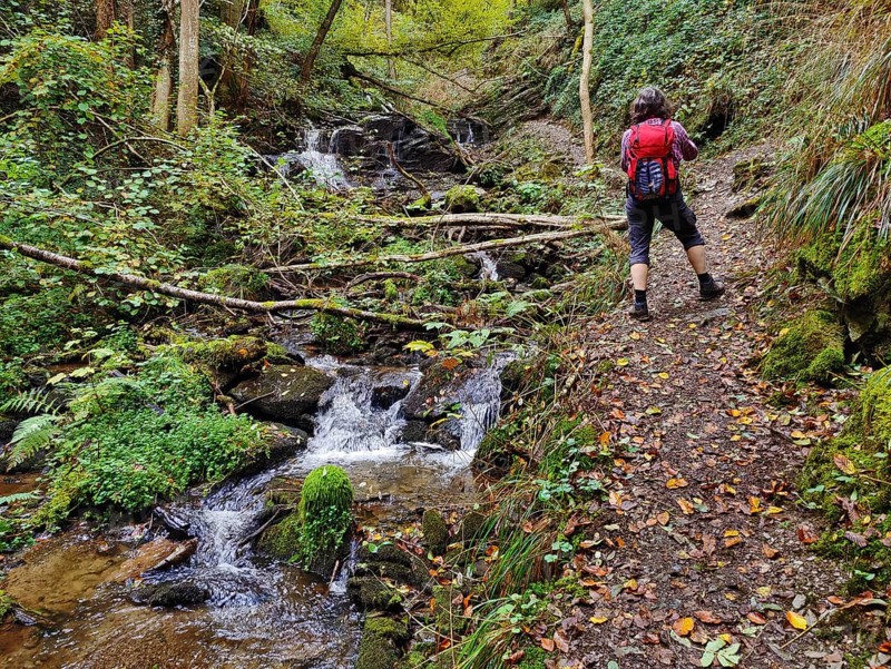 Hiker in the Hölzbachklamm gorge with a small waterfall, municipality of Morbach, Rhineland-Palatinate, Hunsrück, Germany