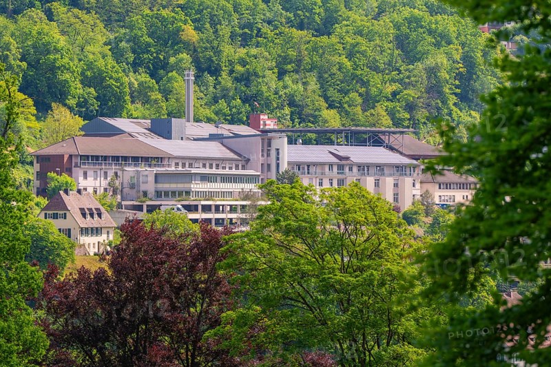 An urban building nestled in a green forest landscape with sunny weather, Altes Krankenhaus, Calw, Black Forest, Germany