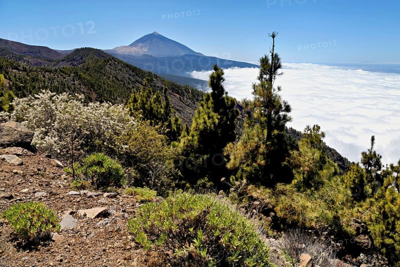 Volcanic landscape, behind volcano Pico del Teide above trade wind clouds, Teide National Park, Tenerife, Canary Islands, Spain