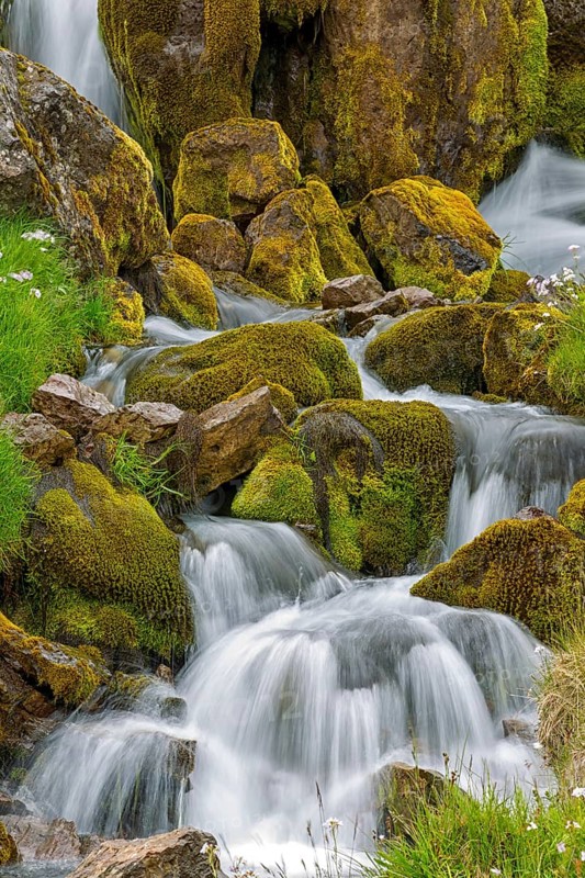 Waterfall, stream, moss, stones, small waterfalls, Iceland, Hnjótur, Vestfirðir, Iceland