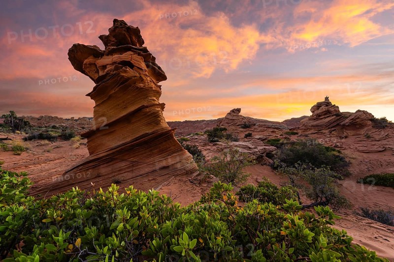Sunset casting vibrant colors over the unique rock formations and green plants at Coyote Buttes, part of the Paria Canyon-Vermilion Cliffs Wilderness in Arizona, USA