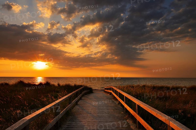 Wooden walkway through the dunes on the Baltic Sea at sunrise, Dahme, Ostholstein, Germany