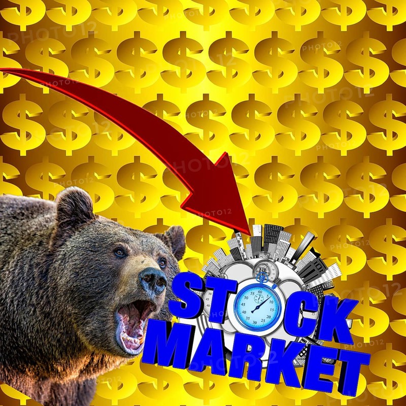 Symbolic image, bear stands for stock market bear market, Wall Street and DAX crash, President Trump erratic decisions, global tariffs, share prices, euro, euro exchange rate, euro low, exchange rates, dollar parity, investment, recession concerns, inflation, export, raw materials and intermediate products in dollars, oil in dollars, world crisis, Ukraine war, Germany, loss of democracy, autocracy, China, Russia, Iran-Israel War, Venezuela