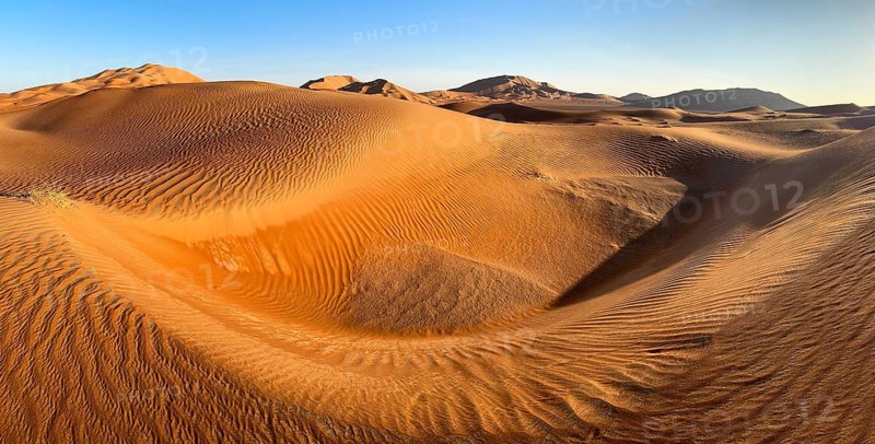 Sand dunes in the Rhub al Khali desert, empty quarter, largest sandy desert in the world, Oman