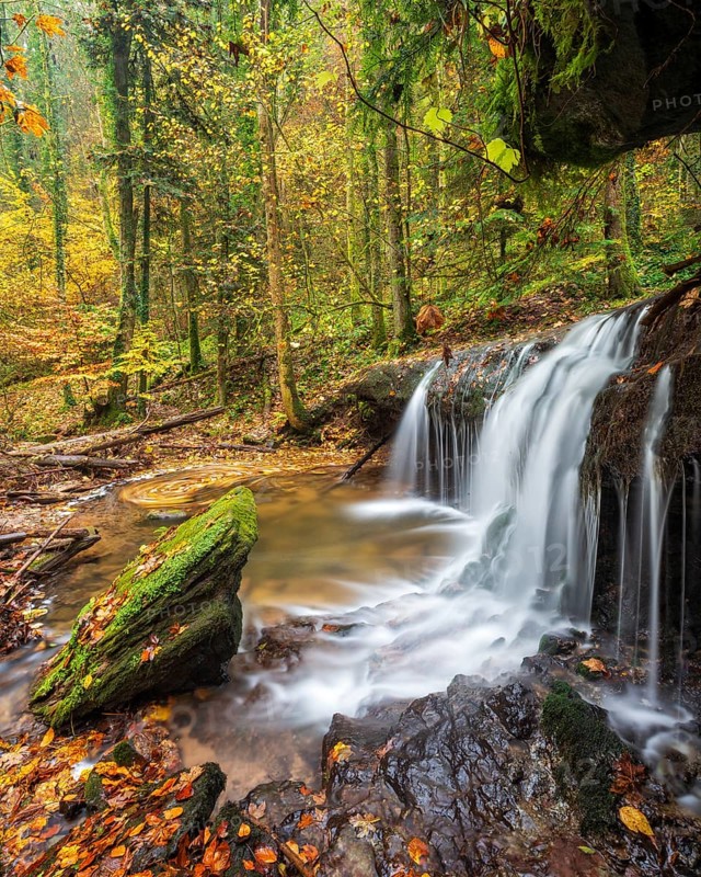 Waterfall in the course of the Strümpfelbach stream, colorful autumn leaves in the water, Strümpfelbachtal, near Backnang, Swabian-Franconian Forest nature park Park, Baden-Württemberg, Germany