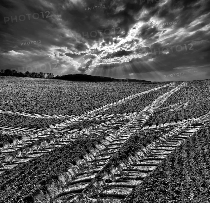 Tractor tracks, a field near Oberweser, Weser Uplands, Weserbergland, Hesse, Germany