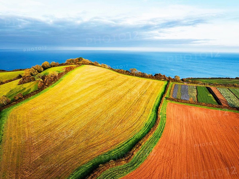 Colours of autumn Fields and Farms over Sheldon from a drone, Torbay, Devon, England, United Kingdom
