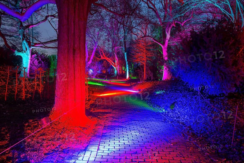 Winter lights in Luisenpark in Mannheim. Every year in January and early February, the park is extensively illuminated at dark