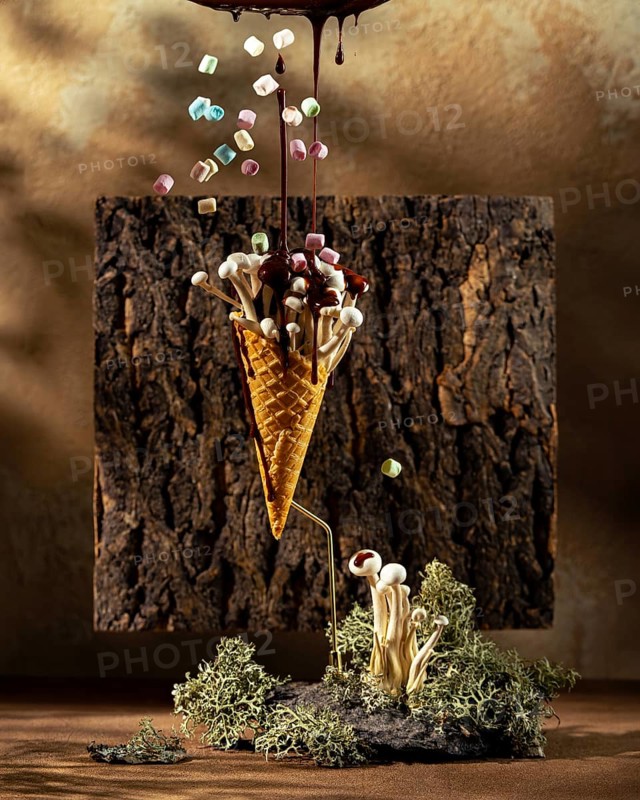 Surreal image capturing a mushroom cluster thriving inside a waffle cone, draped with flowing chocolate and surrounded by flying colorful marshmallows against a lush mossy texture and wood background