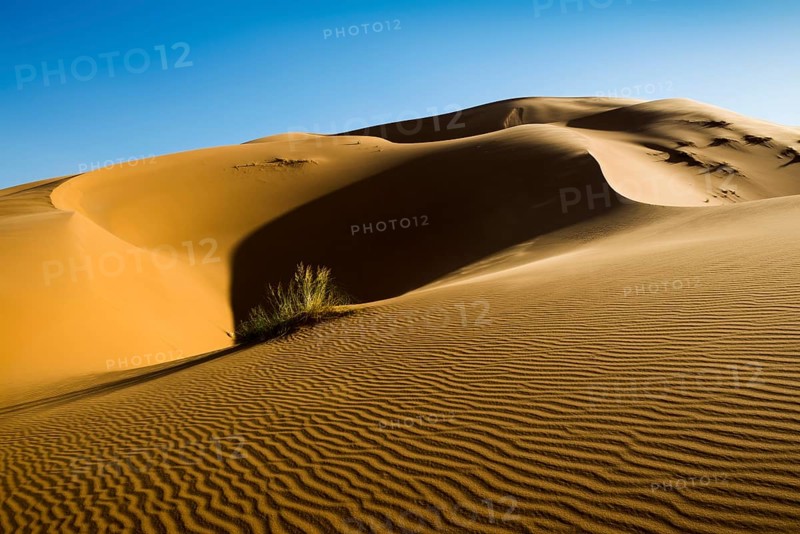 Sand dunes, sunset, near Merzouga, Meknès-Tafilalet region, Erg Chebbi, northern Sahara, Morocco