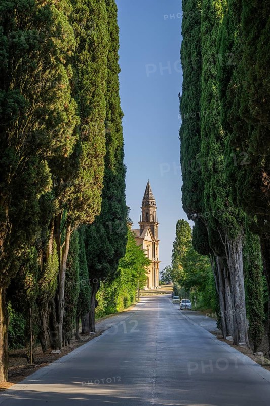 Road going through cypress trees to San Biagio Renaissance Church in autumn, architect Antonio da Sangallo, Montepulciano, Tuscany, Italy
