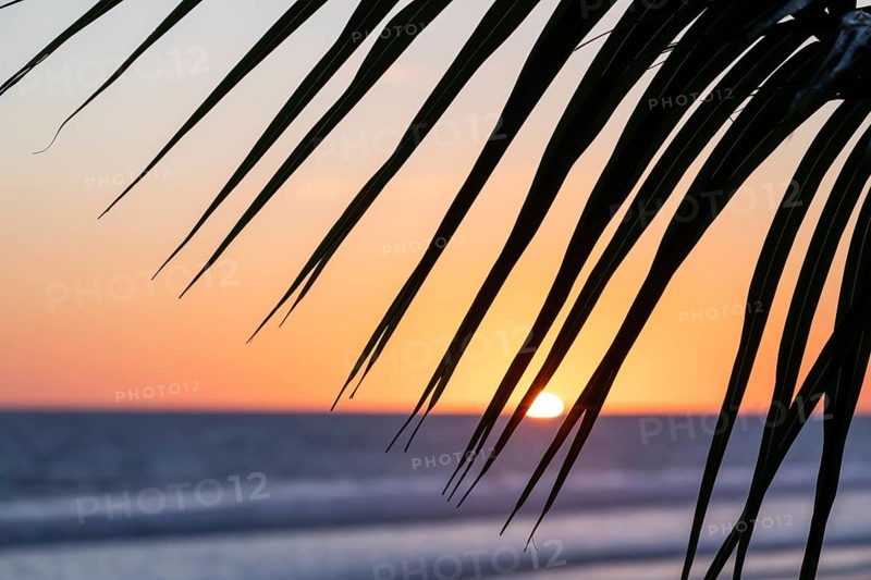 Low sun illuminates ocean and palm trees on the beach, with views of Corcovado National Park. Costa Rica