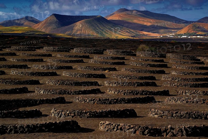 Canary Islands, Lanzarote, La Geria, Lanzarote, Canary Islands, Spain