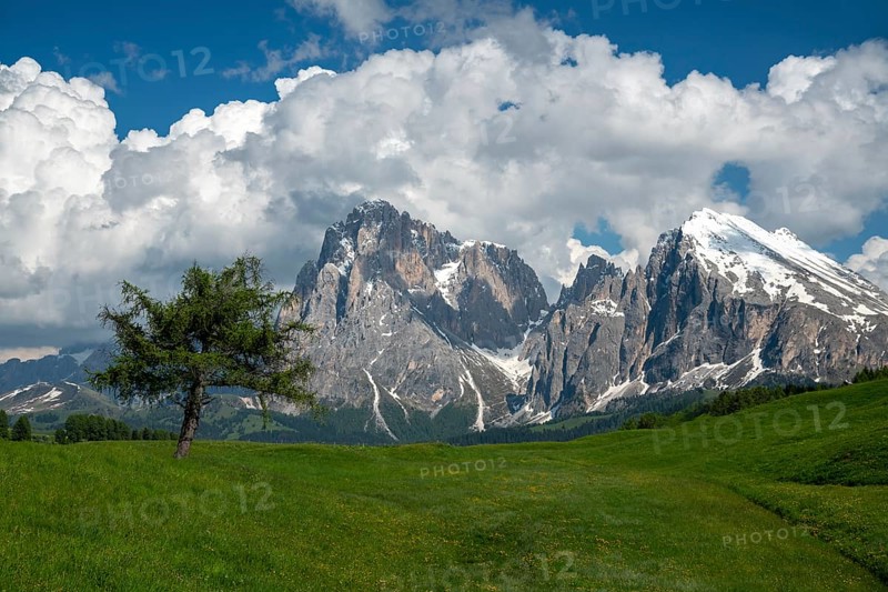 Alpe di Siusi in the Dolomites mountains of Italy offers a stunning landscape. Verdant meadows stretch beneath majestic peaks, showcasing nature's beauty and tranquility
