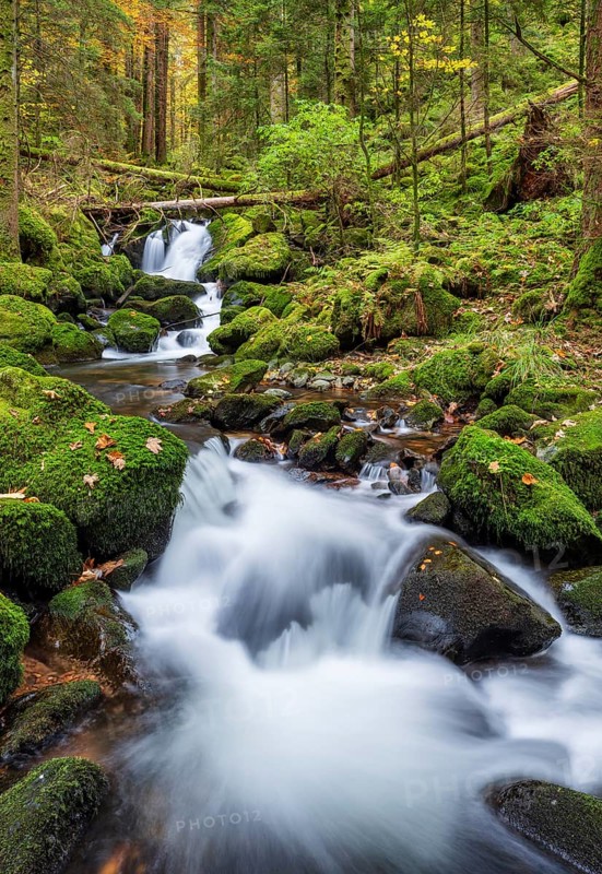 Cascades of the pond stream in the pond gorge in autumn, pond gorge waterfall, moss-covered rocks with colorful leaves, Gütenbach, Black Forest, Baden-Württemberg, Germany
