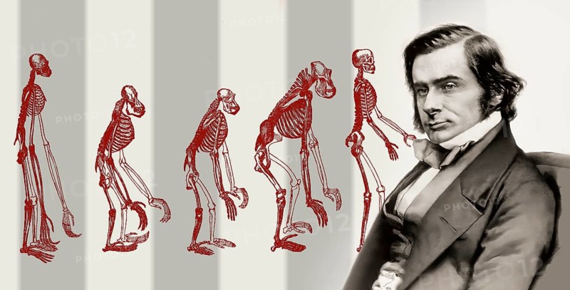 Portrait of Thomas Henry Huxley, 1825 – 1895, English biologist and anthropologist, specialized in comparative anatomy, frontispiece to his book „Evidence as to Man's Place in Nature“, 1863, digitally edited
