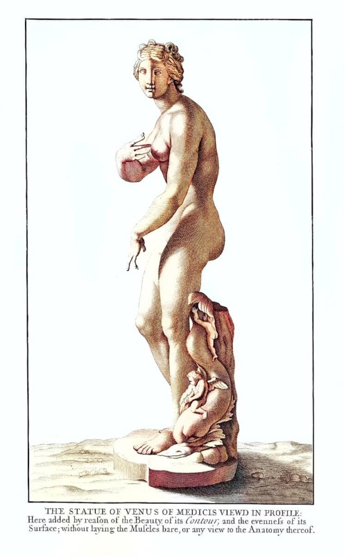 Anatomy, symbolic, the statue of Venus de Medici seen in profile, Villa Borghese, Rome, Italy, sculpture of Venus de Medici in a classical pose, representation of the female body