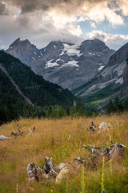 Stunning alpine view at Bachalpsee, Switzerland, showcasing majestic mountains and serene natural beauty, perfect for nature and hiking enthusiasts seeking tranquility