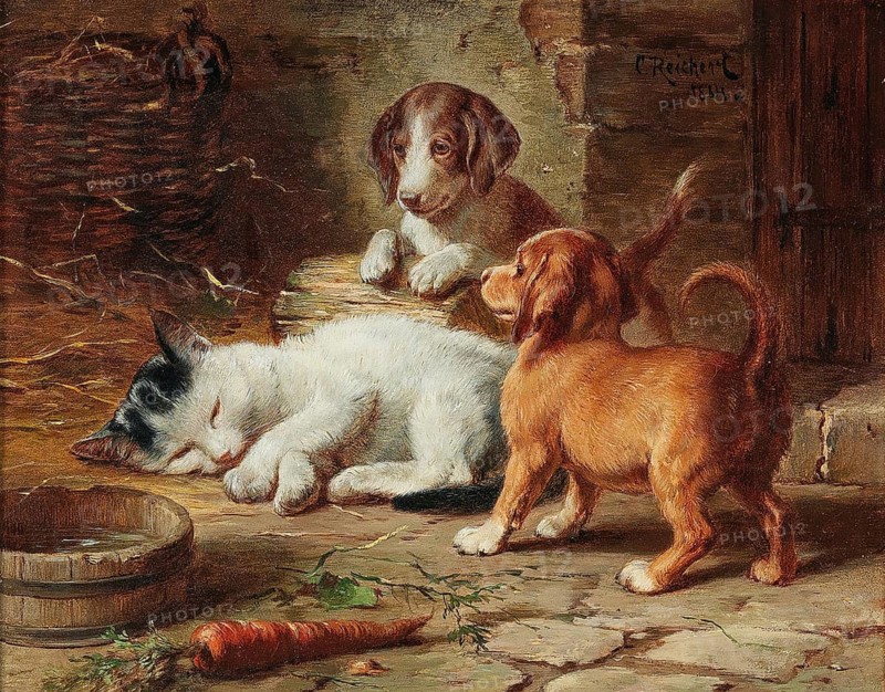 Carl Reichert, Karl Reichert, pseudonym J. Hartung (born 27 August 1836 in Vienna, died 5 April 1918 in Graz) . Austrian painter, especially landscape painter and animal painter. Here his work:, The Puppies Are Awake (1884), Two young dogs watching a sleeping black and white cat in a rural setting, Painting, Reproduction of the painting, Work of art, Historical