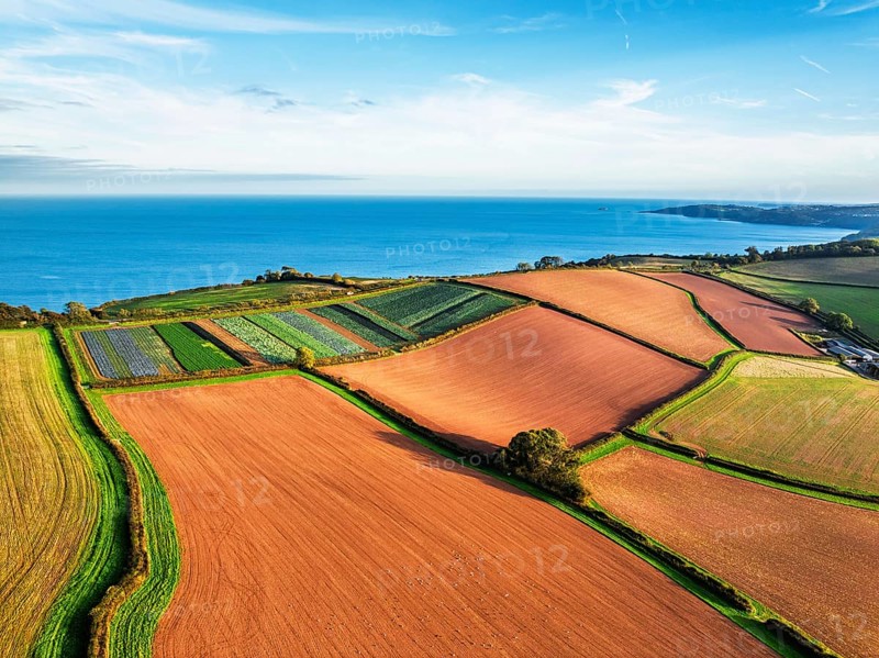 Colours of autumn Fields and Farms over Sheldon from a drone, Torbay, Devon, England, United Kingdom