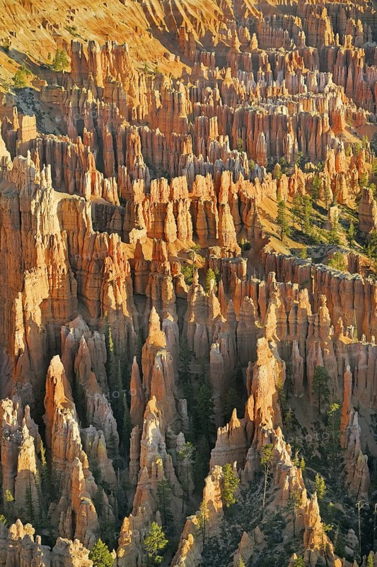 Bryce Canyon, Bryce Canyon National Park, Utah, USA