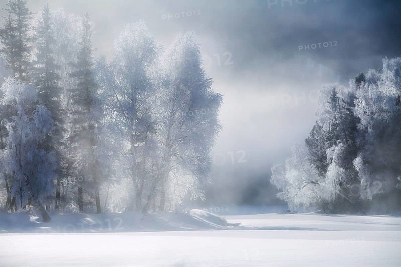 China, Xinjiang Uygur Autonomous Region, Kanas National Geopark, Altay Prefecture – a winter landscape of dense forests and the winding Kanas River, where snow blankets the mountains and reflects in the icy waters, creating a serene and pristine natural scene