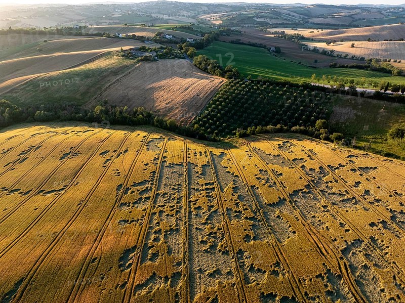 A drone view over Macerata's countryside showing a mix of cultivated fields and tree-lined plots, highlighting the textures of the agricultural land