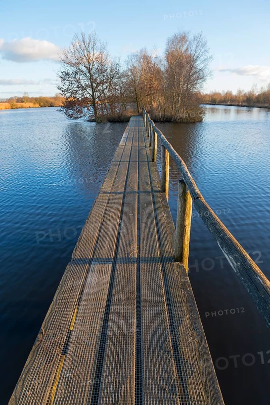 Bridge, De Deelen, landscape conservation area, nature reserve, Luinjeberd, Lúnbert, Heerenveen, Friesland, Netherlands