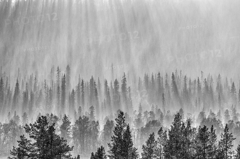 Backlight over forest area, Gällivare, Norrbotten, Lapland, Sweden, August 2020